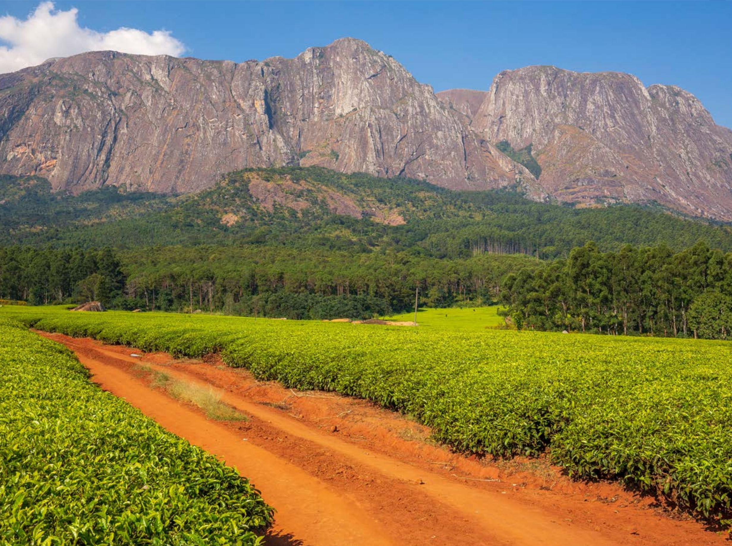 Mulanje Mountain
